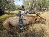 Alfredo-2022-Archery-Bull-Elk